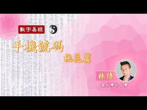 天醫生氣延年|天醫生氣延年：易經智慧的應用